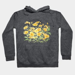 Yellow Margaret Daisies branch watercolor Hoodie